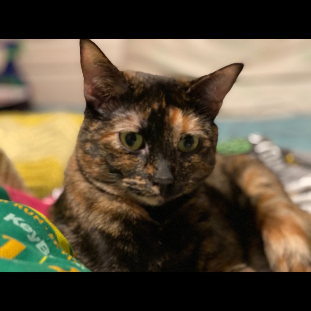 Meet your Posher, Kristina